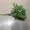 LBF one G verde mixto persian leaf Item Picture